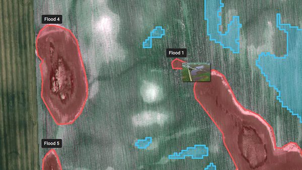 Annotations and measurements