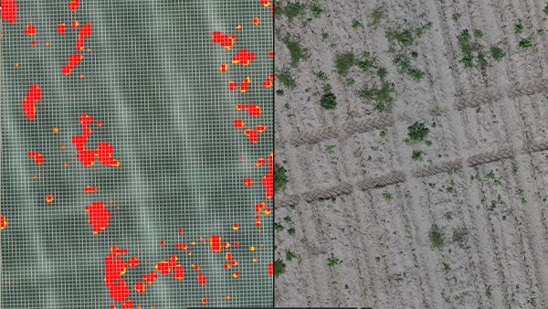 Prescription map for spot spraying