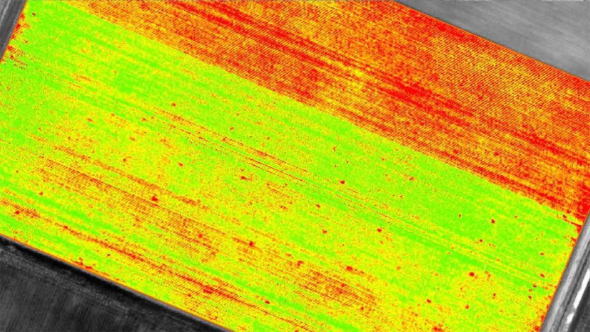 Index map from drone mapping