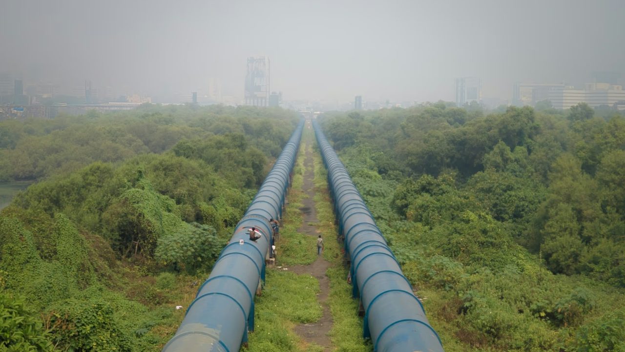 Oil detection