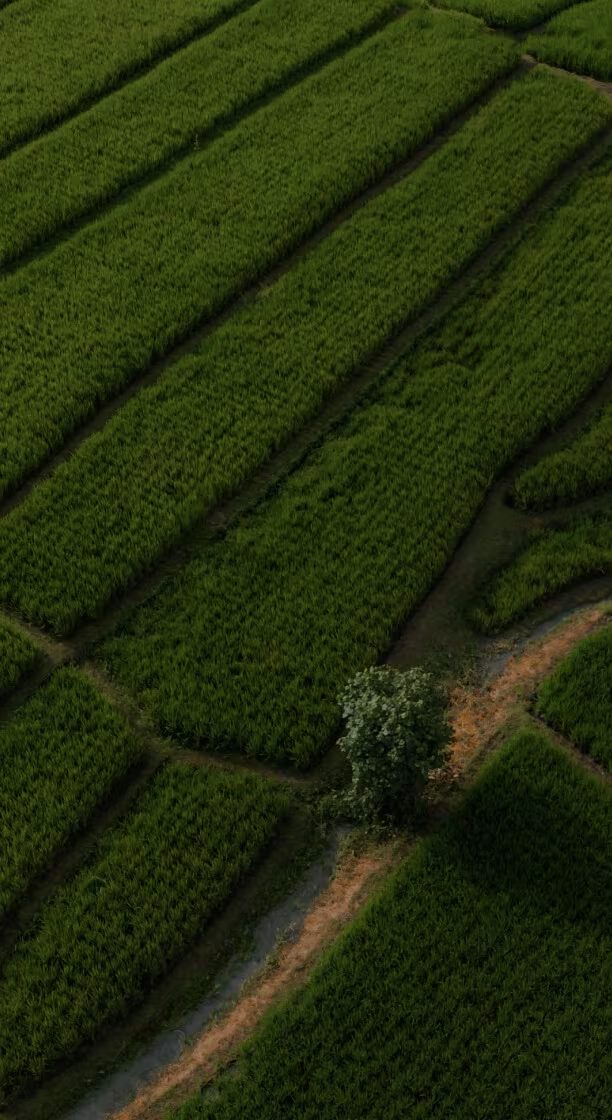 Agriculture