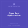 OCI-COST Cloud Cost Optimization