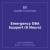 Emergency DBA Support