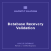 ORA-DB-REC Database Recovery Validation