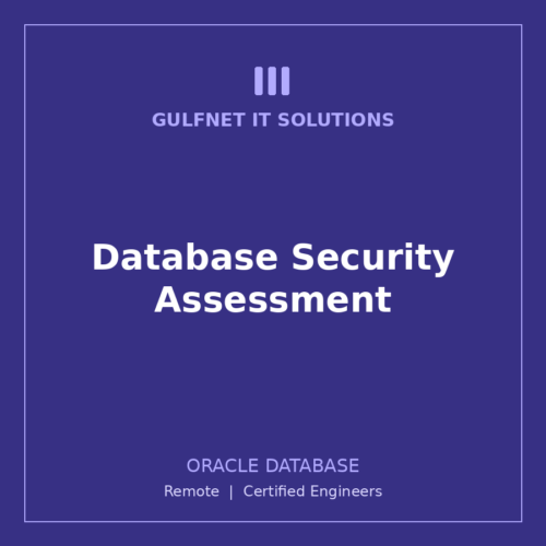 Database Security Assessment