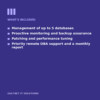 Business DBA - Managed Service
