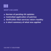 Linux Patching Service