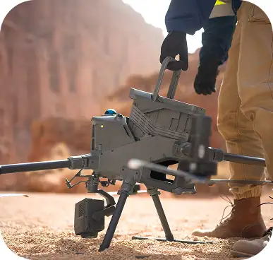 Governmenta-municipalities