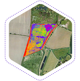 crop-health-monitroing