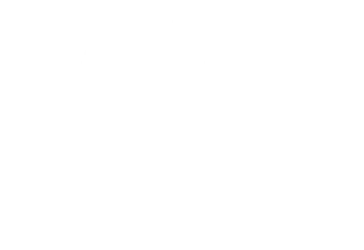 dji