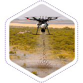 seed-droping-thumbnail