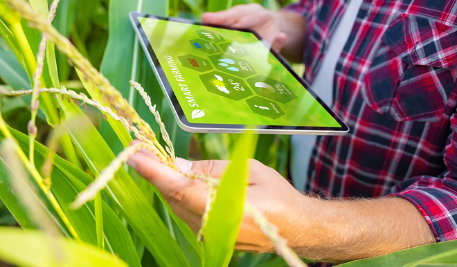 service-last-section